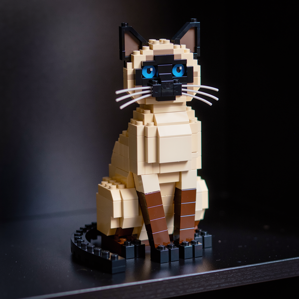 Tofu