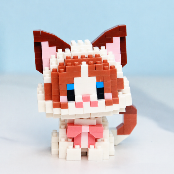 Cocoa